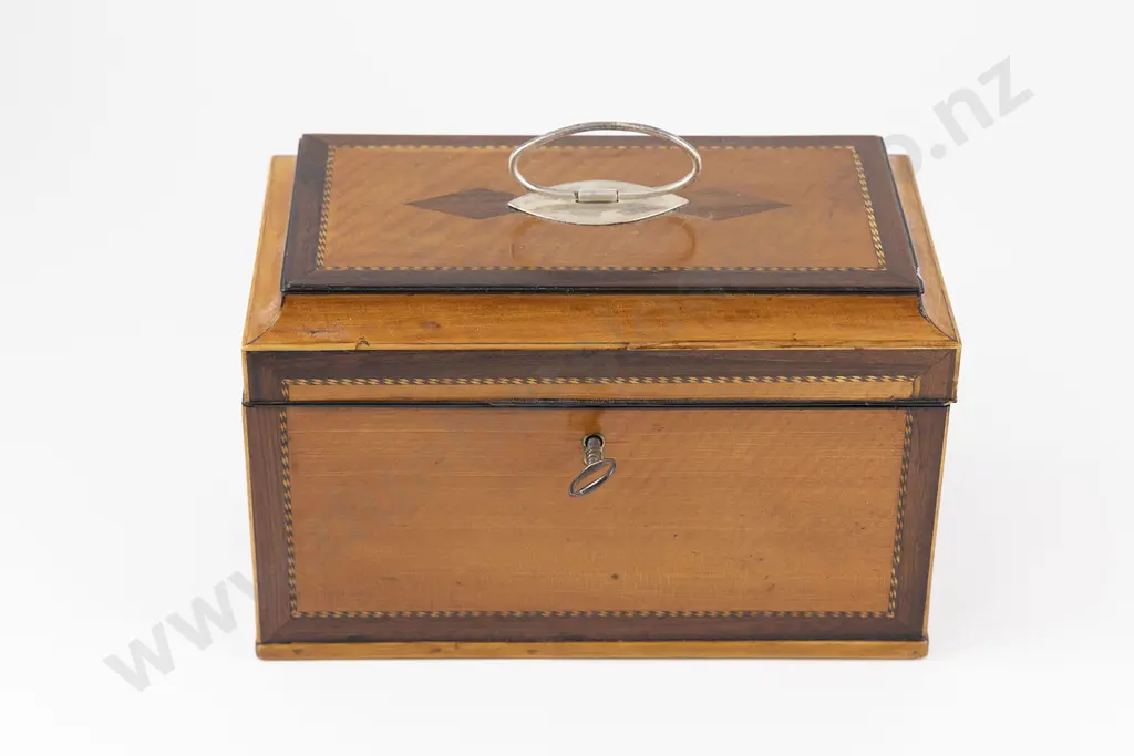 Regency Satinwood Tea Caddy Image 1++