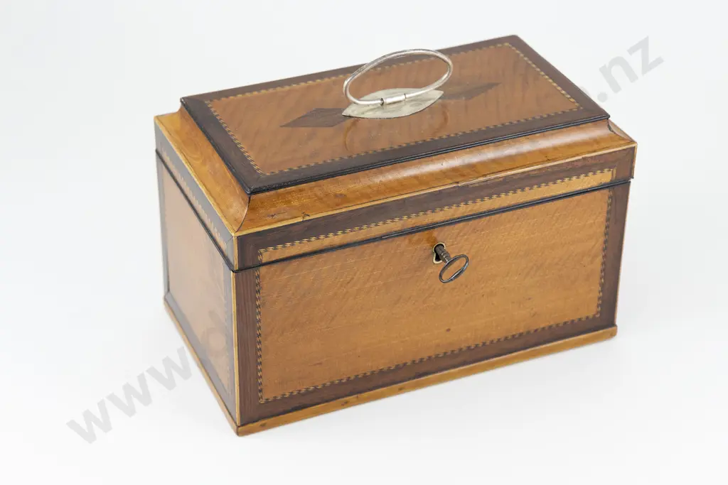 Regency Satinwood Tea Caddy Image 1++