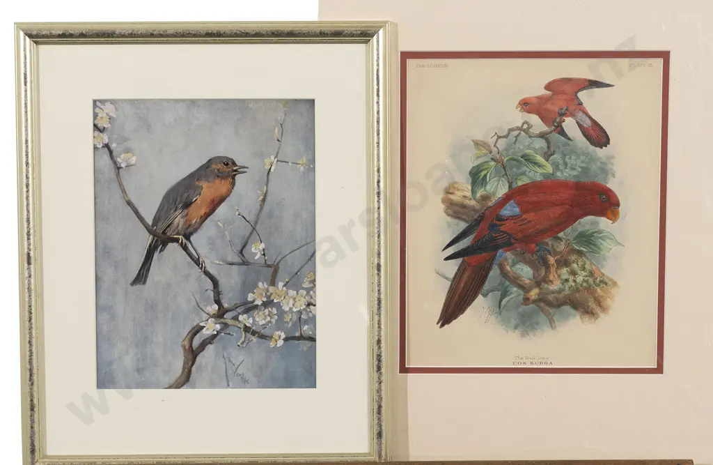 Four Various Bird Prints Image 1++