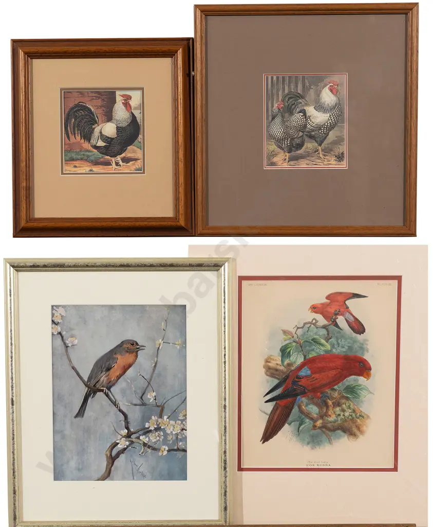 Four Various Bird Prints Image 1++