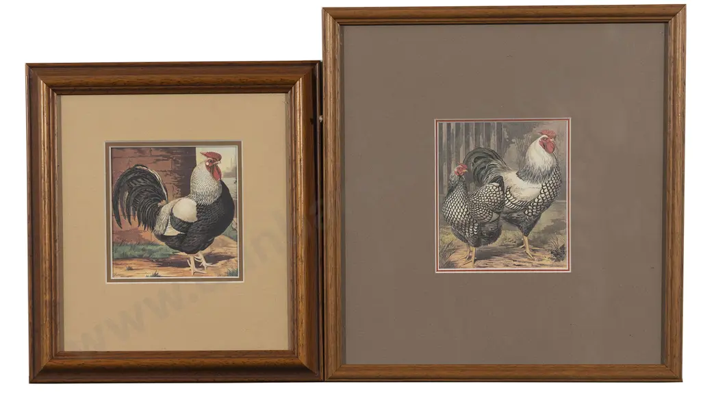 Four Various Bird Prints Image 1++
