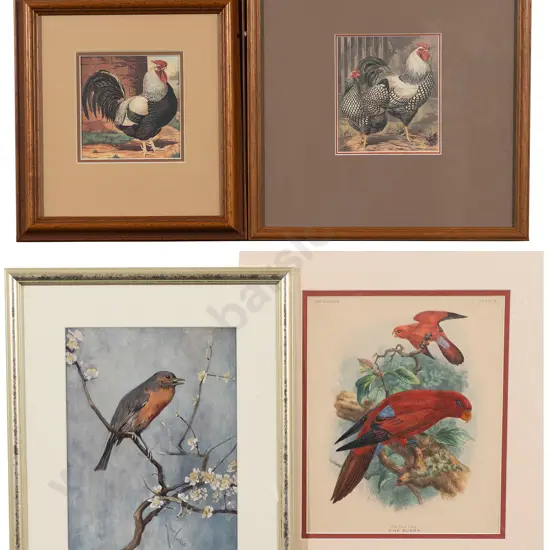 Four Various Bird Prints