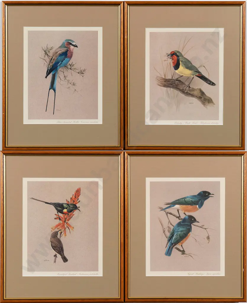 Set Of 4 Modern Coloured Bird Prints Image 1++