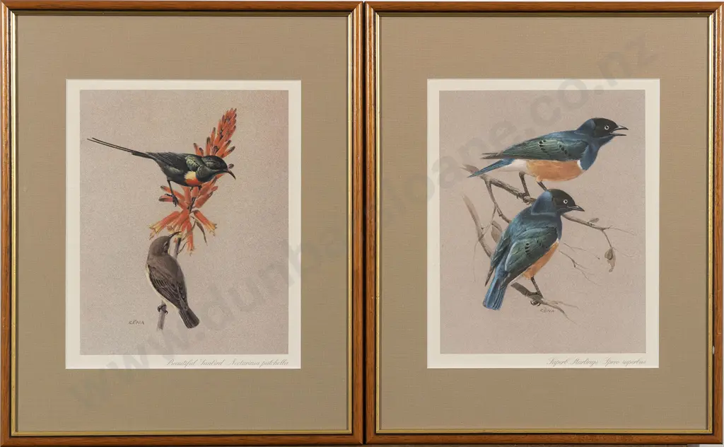 Set Of 4 Modern Coloured Bird Prints Image 1++