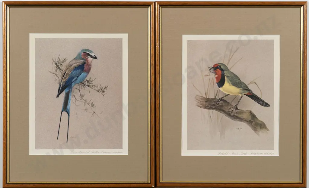 Set Of 4 Modern Coloured Bird Prints Image 1++