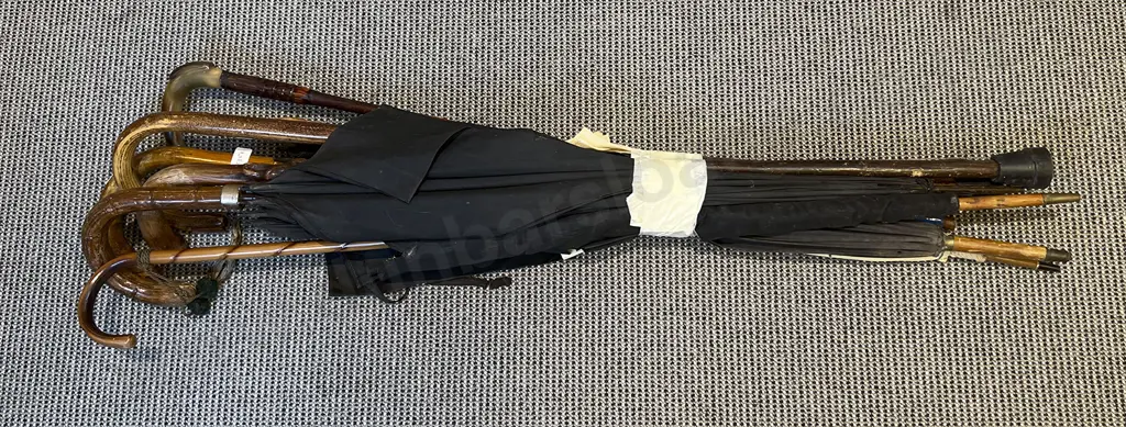 Bundle of Assorted Umbrellas and Walking Sticks (Faults) Image 1++