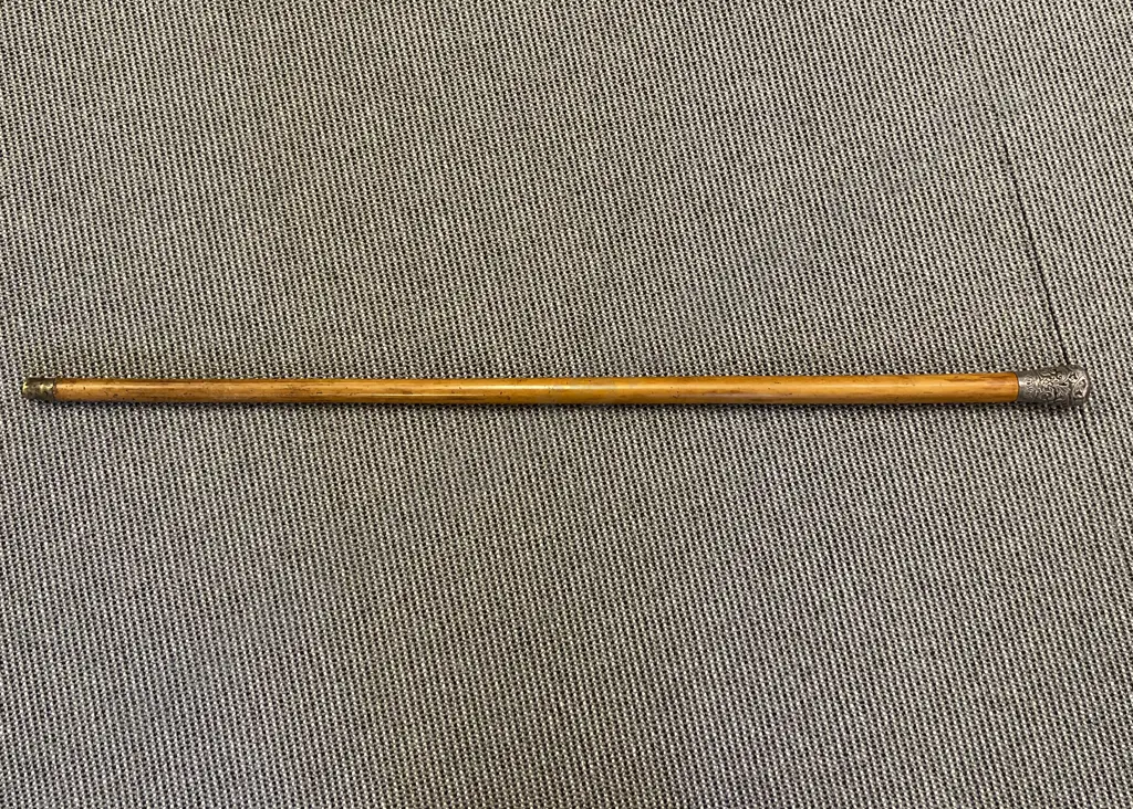 Silver Topped Walking Stick Image 1++