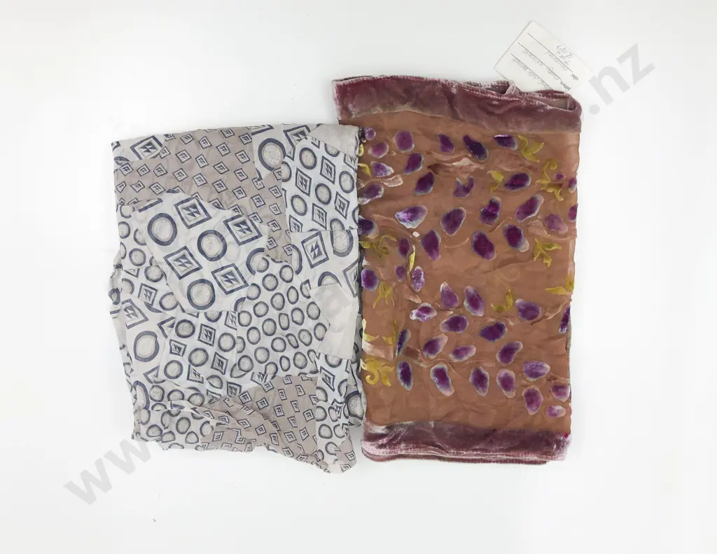 Silk Velvet 'Pussy Willows' Neutral Scarf Image 1++