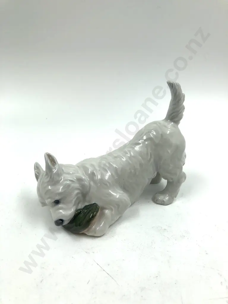 Royal Copenhagen Dog With Shoe Figurine Image 1++
