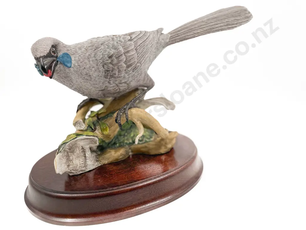 NZ Hereford Fine China Model of a Kokako Image 1++