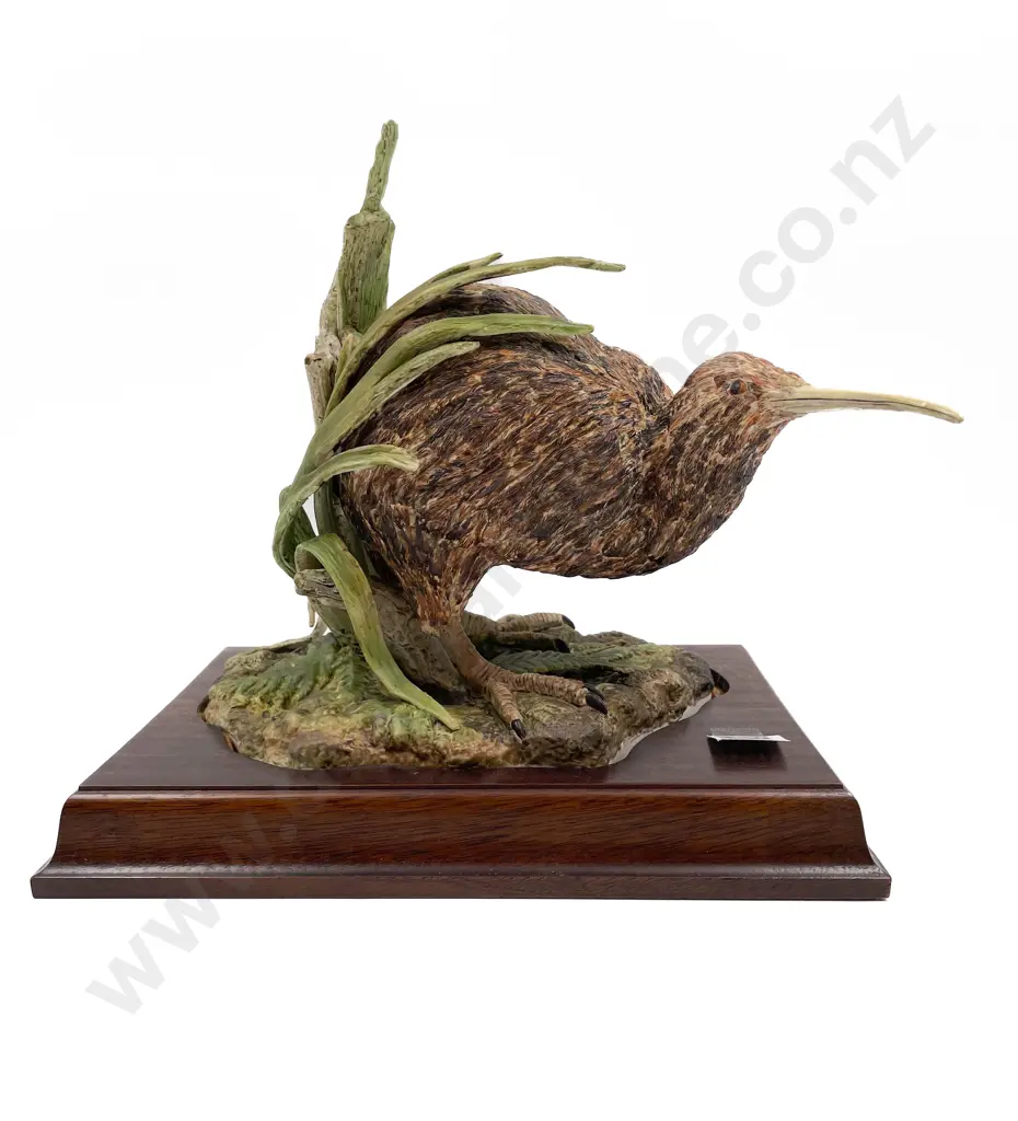 NZ Hereford Fine China Model of a Kiwi Image 1++