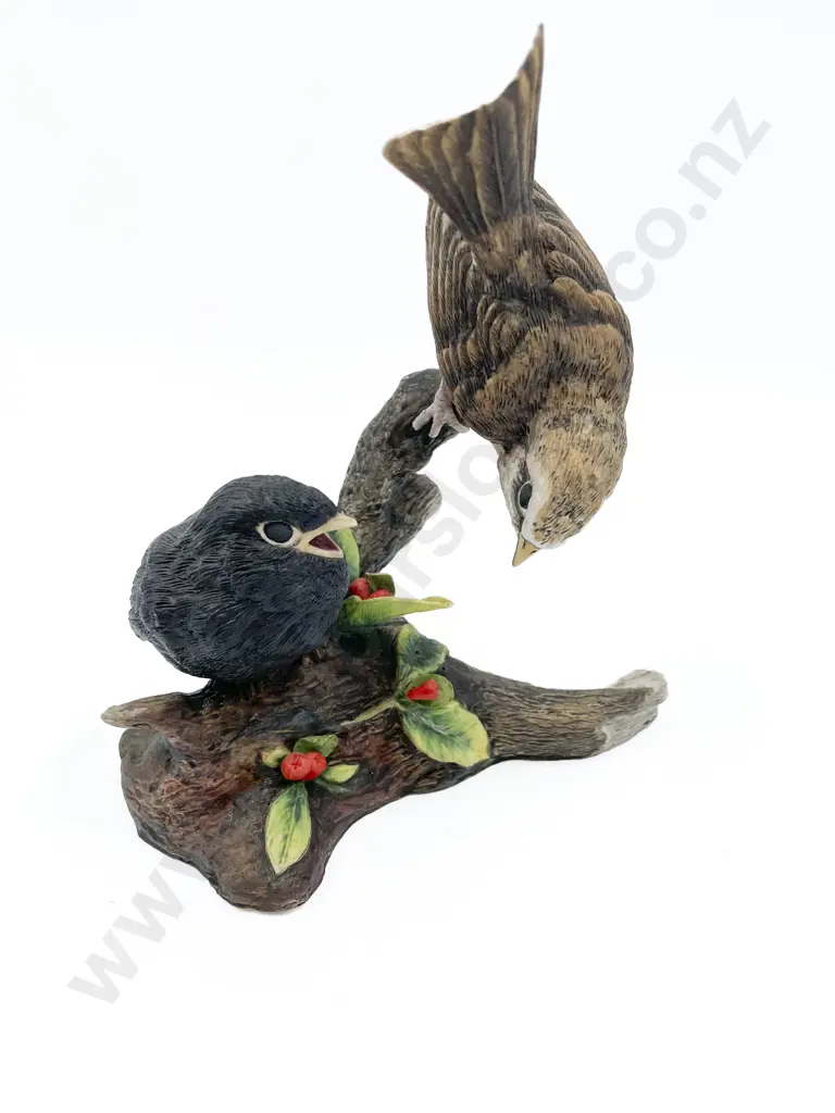 NZ Hereford Fine China Model of Sparrow and Chick Image 1++