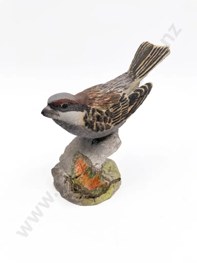 NZ Hereford Fine China Model of a Sparrow Image 1++