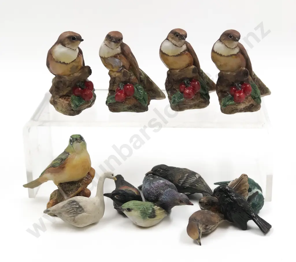 Fourteen NZ Hereford Bird Models Image 1++