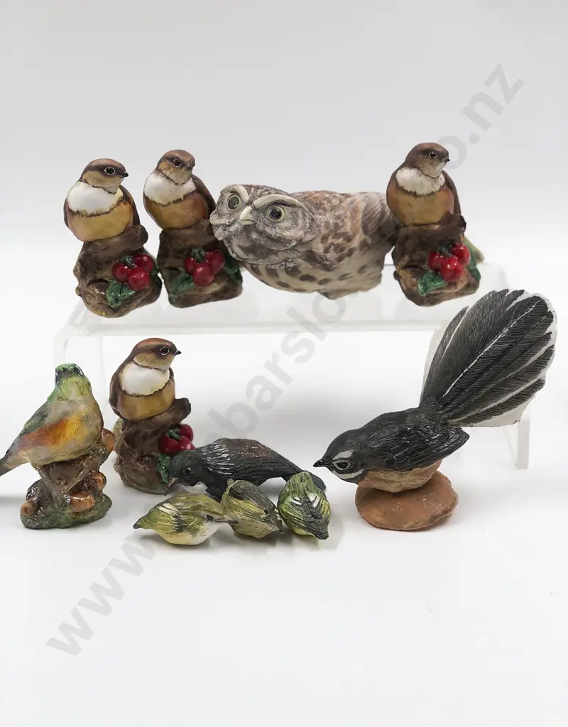 Eleven NZ Hereford Bird Models Image 1++