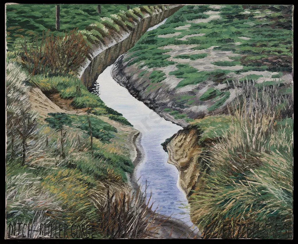 Dick Frizzell (b 1943) - Ditch Image 1++