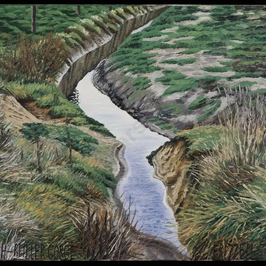 Dick Frizzell (b 1943) - Ditch