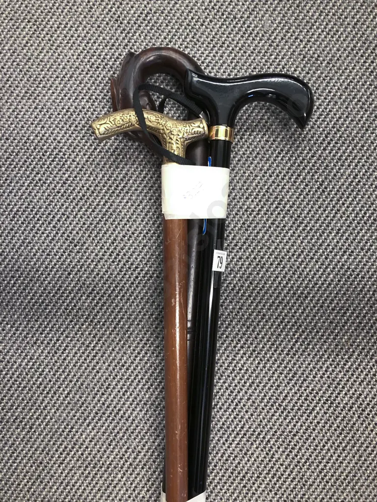 Three Assorted Walking Sticks Image 1++