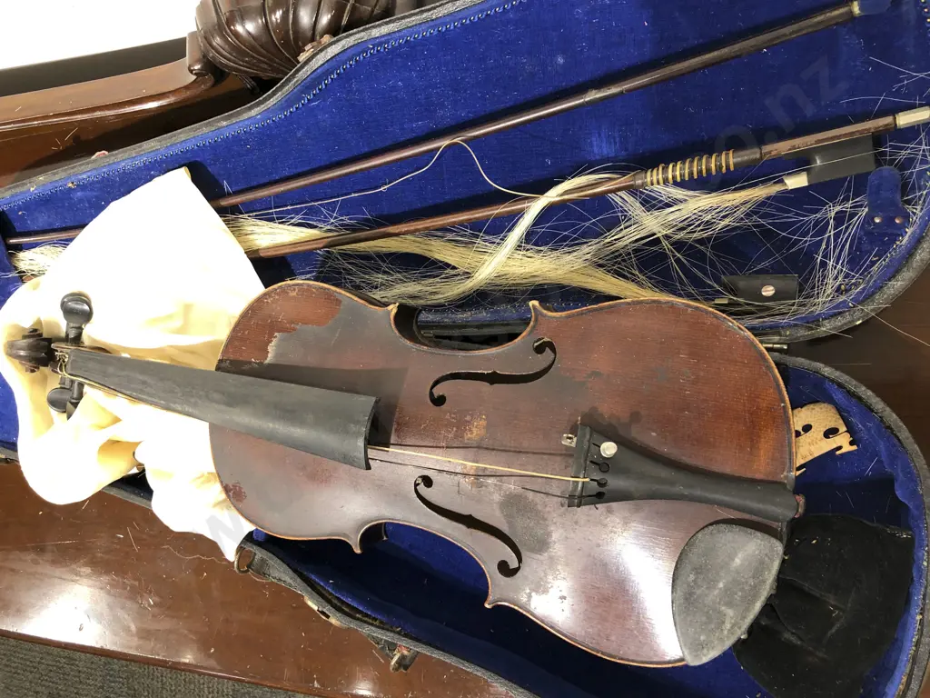 Violin in Case (Faults) Image 1++