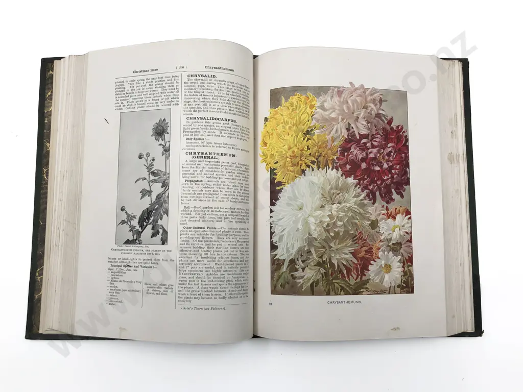 Box of Assorted Books Incl. Poetry and Medicine Image 1++