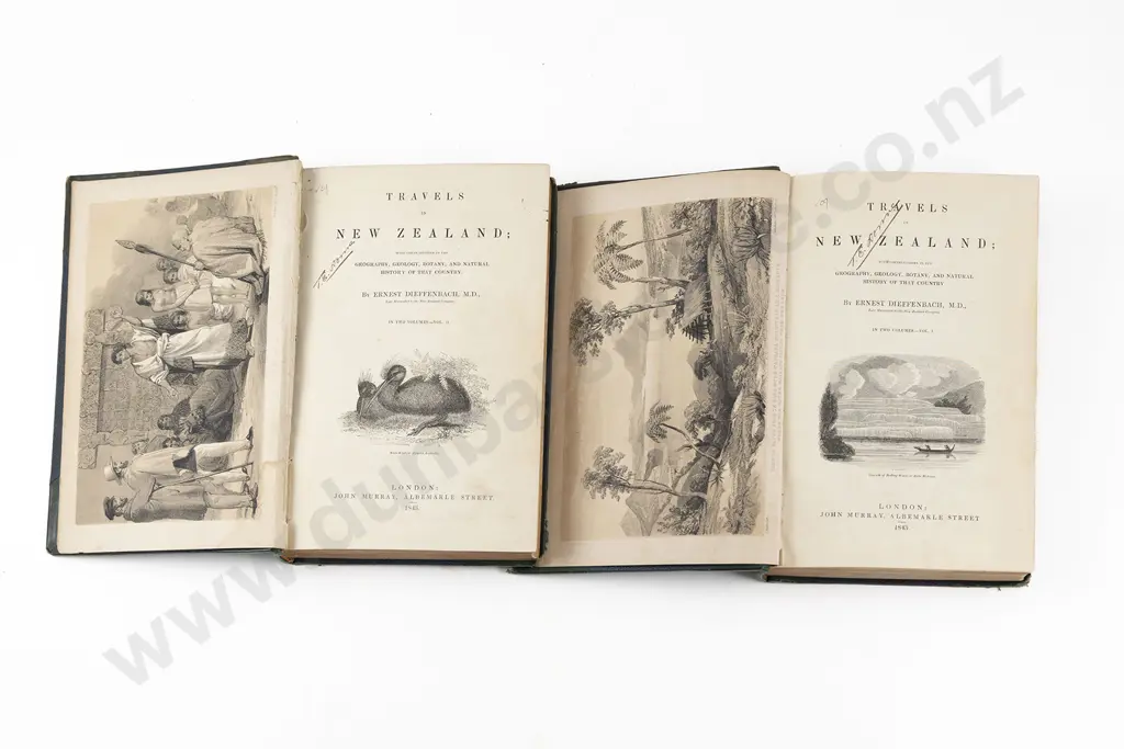 Dieffenbach Ernest - Travels In New Zealand (2 Volumes) Image 1++