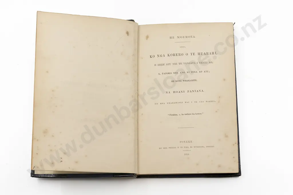 Bunyan John (Hoani Paniana)  - He Reo Maori The Pilgrims Progress Image 1++