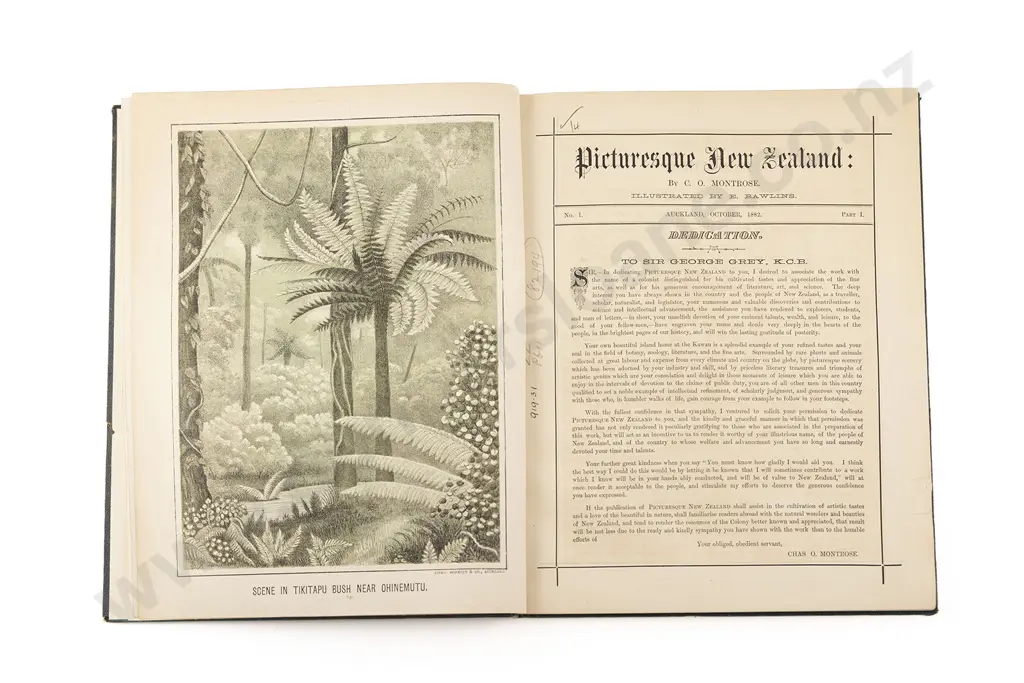 Montrose C O - Picturesque New Zealand (Parts I Image 1++
