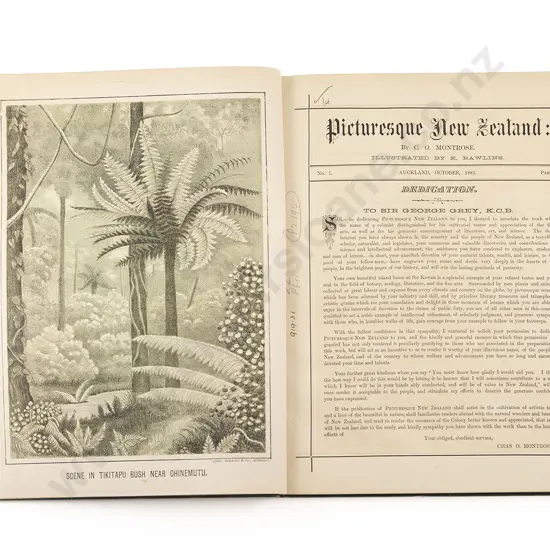 Montrose C O - Picturesque New Zealand (Parts I