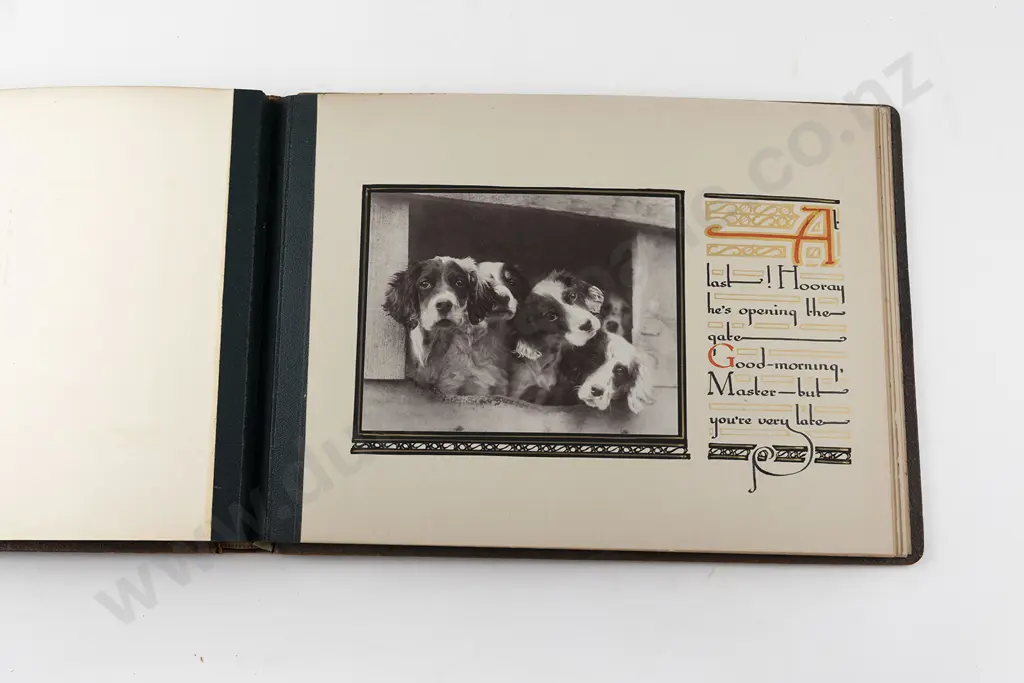 Cross I D - My Dogs Image 1++
