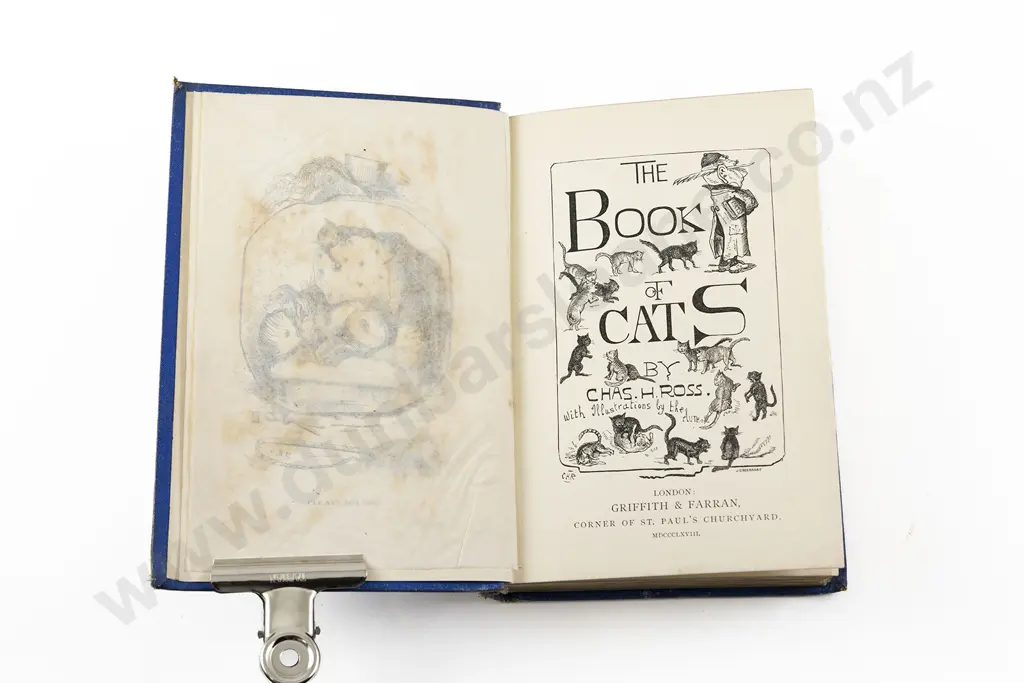 Ross Charles H - The Book Of Cats Image 1++