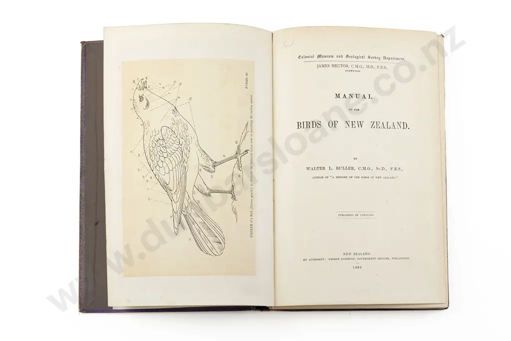 Buller Walter L - Manual Of The Birds Of New Zealand Image 1++