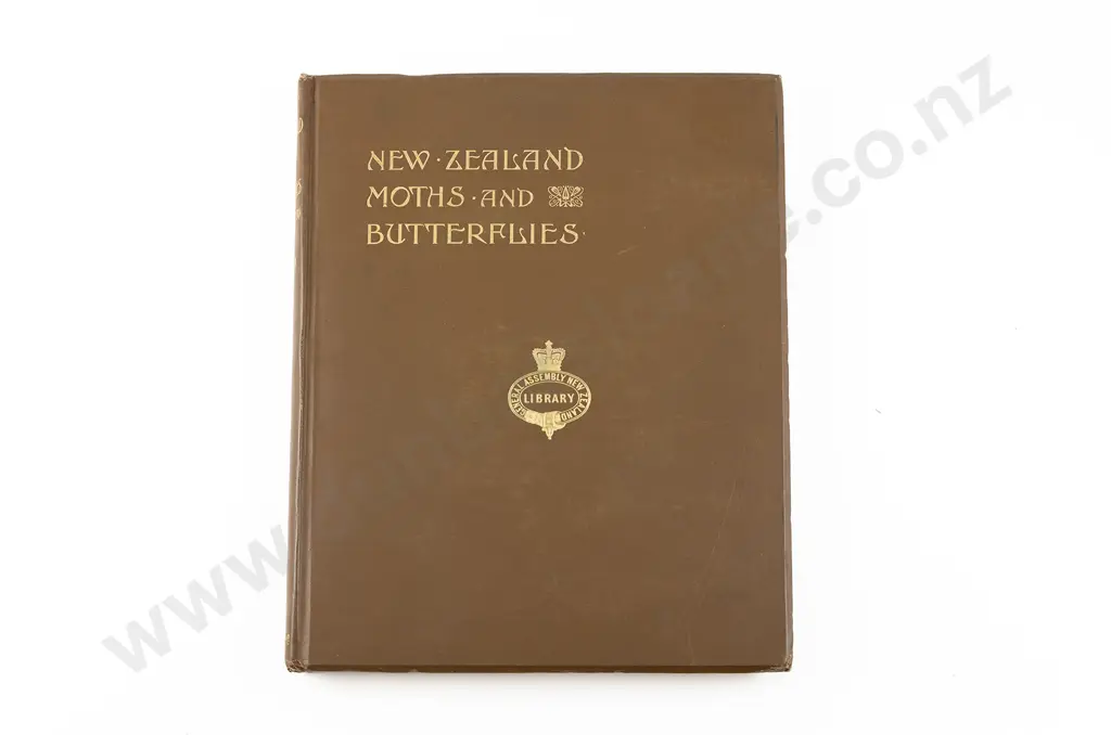 Hudson G V - New Zealand Moths And Butterflies Image 1++