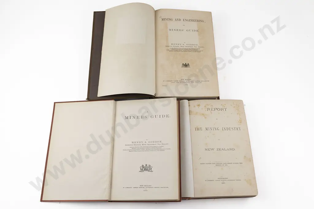 Three 19th Century New Zealand Mining Volumes Image 1++