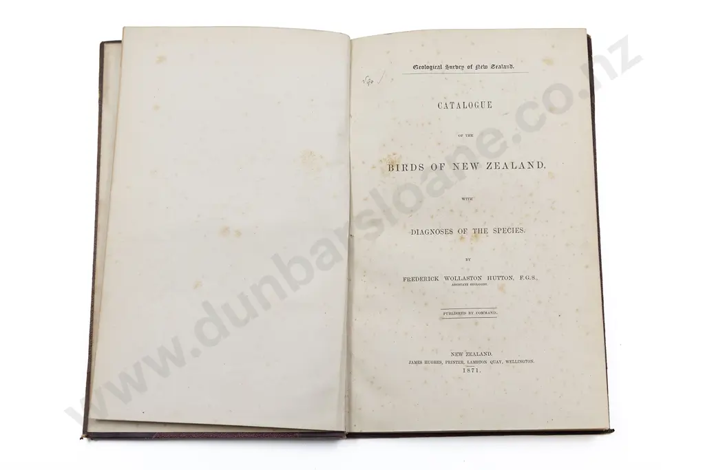 Hutton Frederick Wollaston - Catalogue Of The Birds Of New Zealand Image 1++