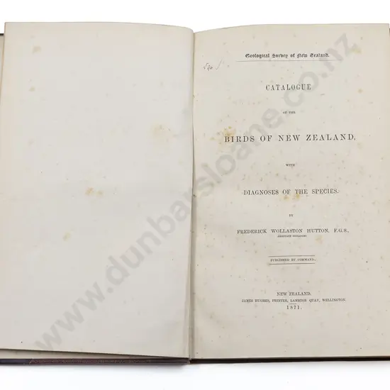 Hutton Frederick Wollaston - Catalogue Of The Birds Of New Zealand