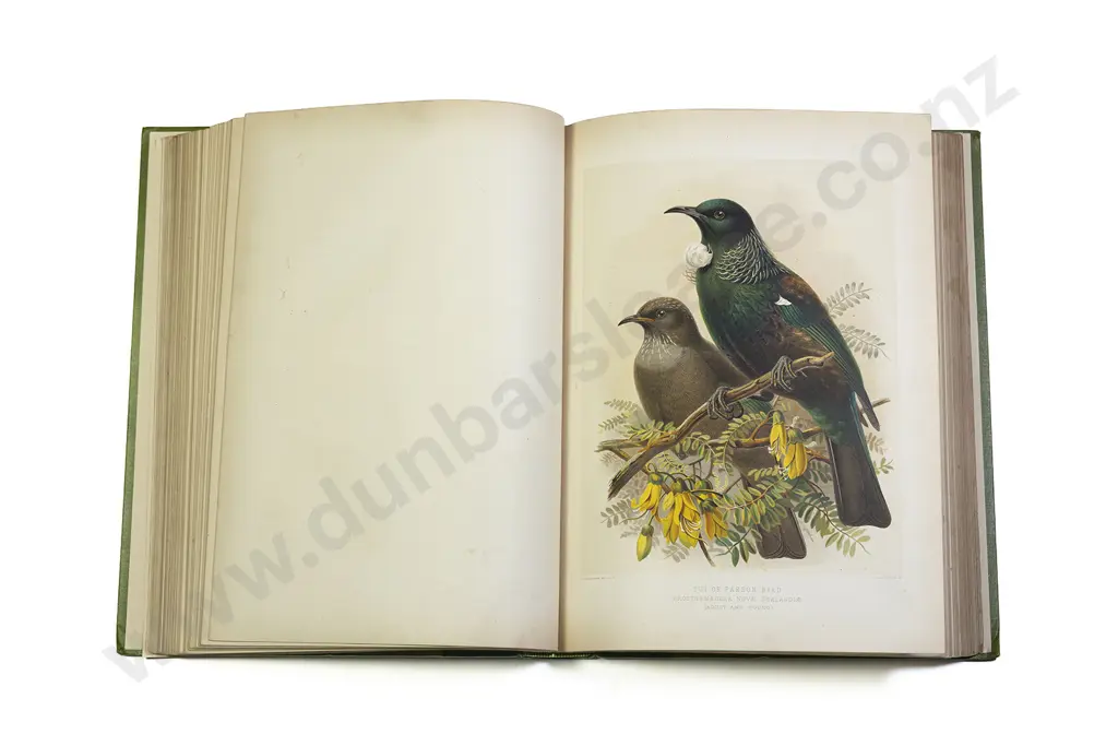 Buller Sir Walter Lawry - A History Of The Birds Of New Zealand (2 Volumes) Image 1++