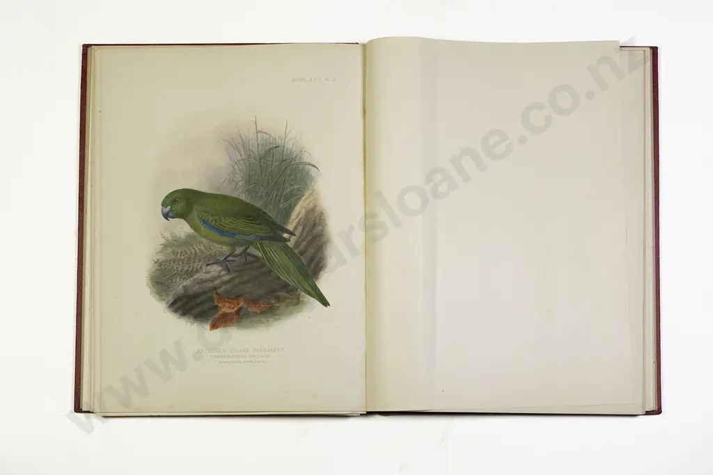 Buller Sir Walter - A Supplement to the Birds of New Zealand (2 Volumes) Image 1++