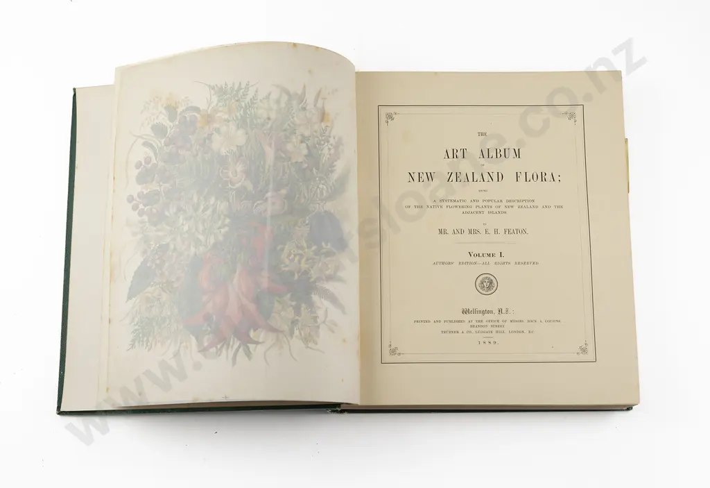 Featon Mr & Mrs E H - The Art Album of New Zealand Flora Image 1++