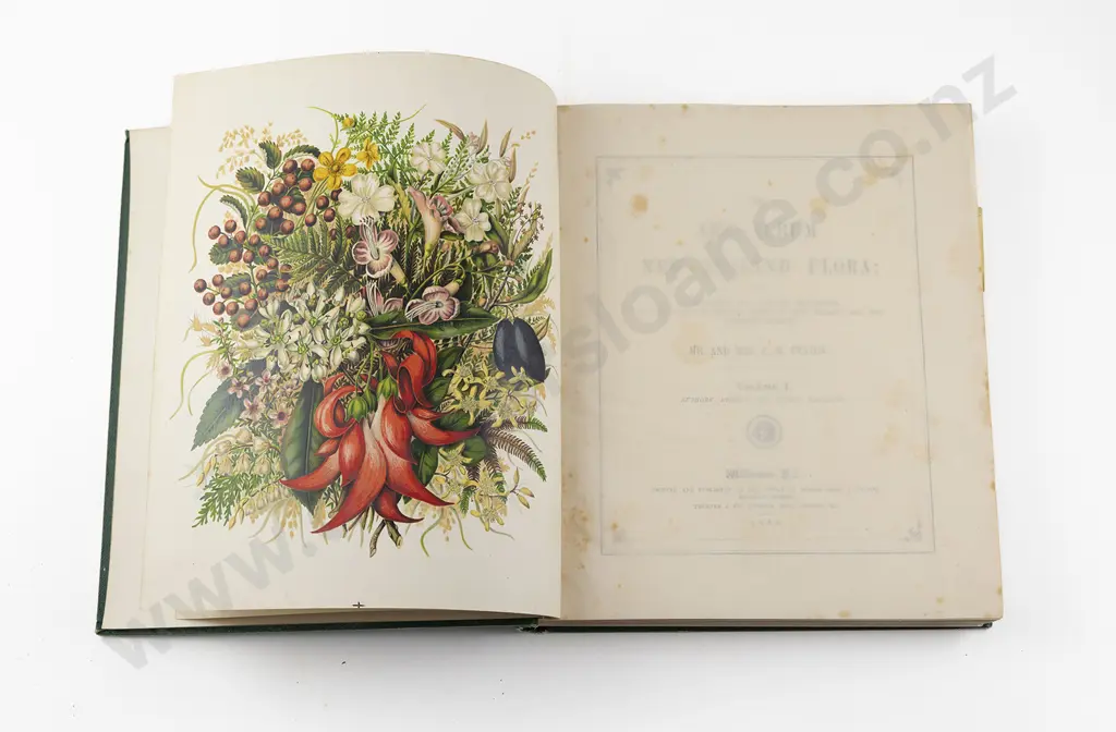 Featon Mr & Mrs E H - The Art Album of New Zealand Flora Image 1++