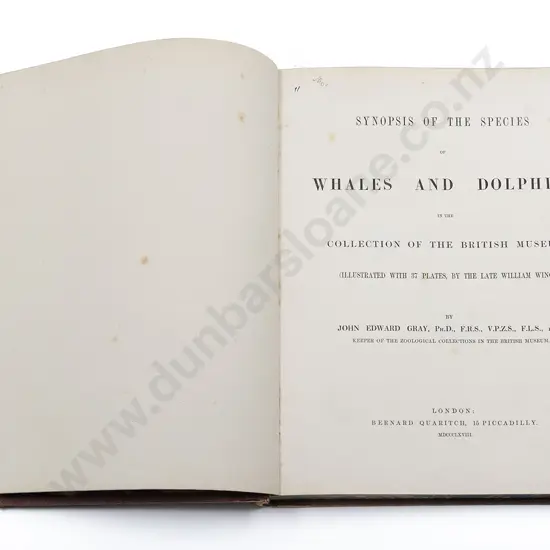 Gray John Edward - Synopsis Of The Species Whales And Dolphins In The Collection Of The British Museum