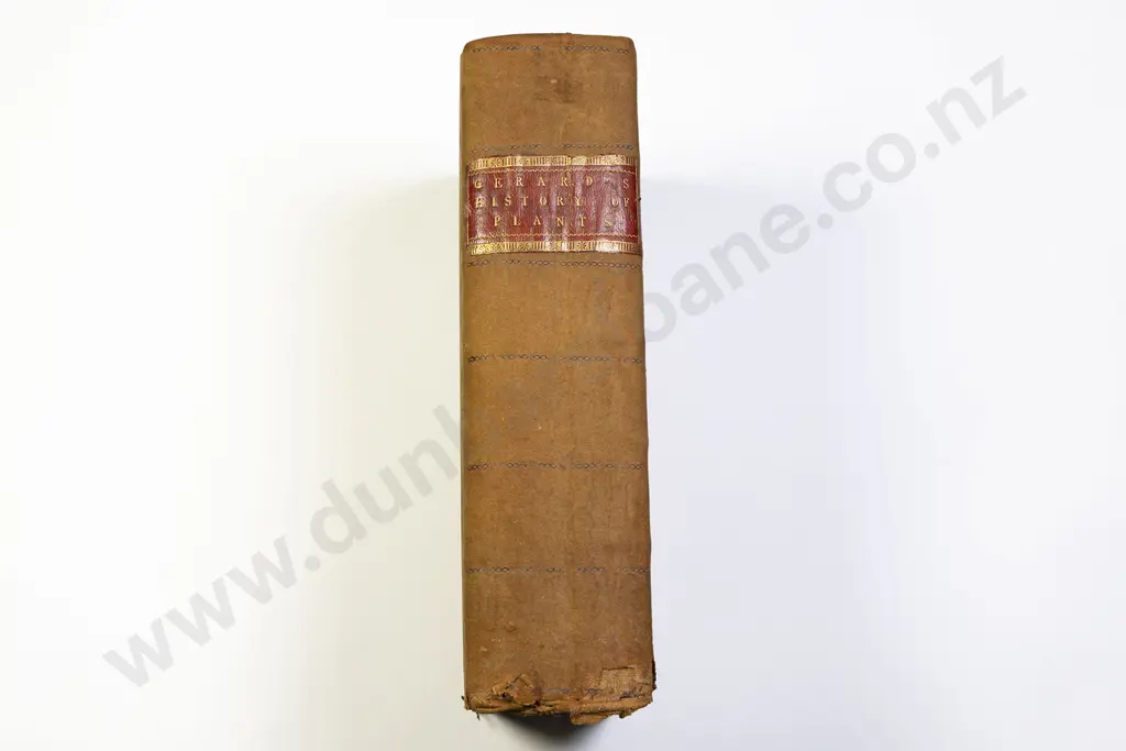 Gerard John - The Herbal or General Historie of Plantes Image 1++