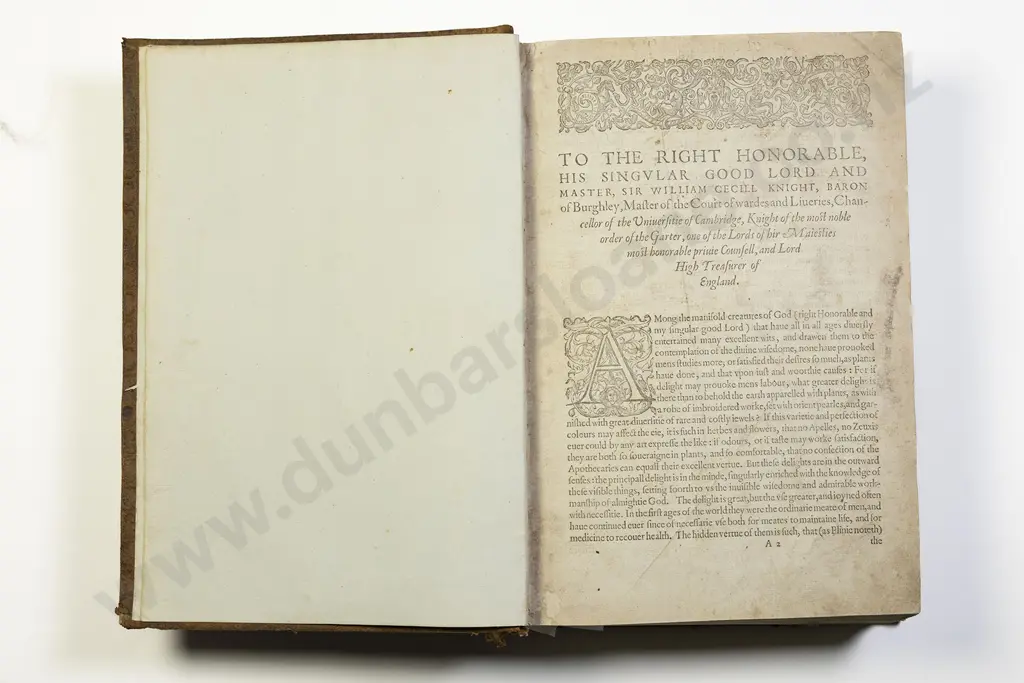 Gerard John - The Herbal or General Historie of Plantes Image 1++