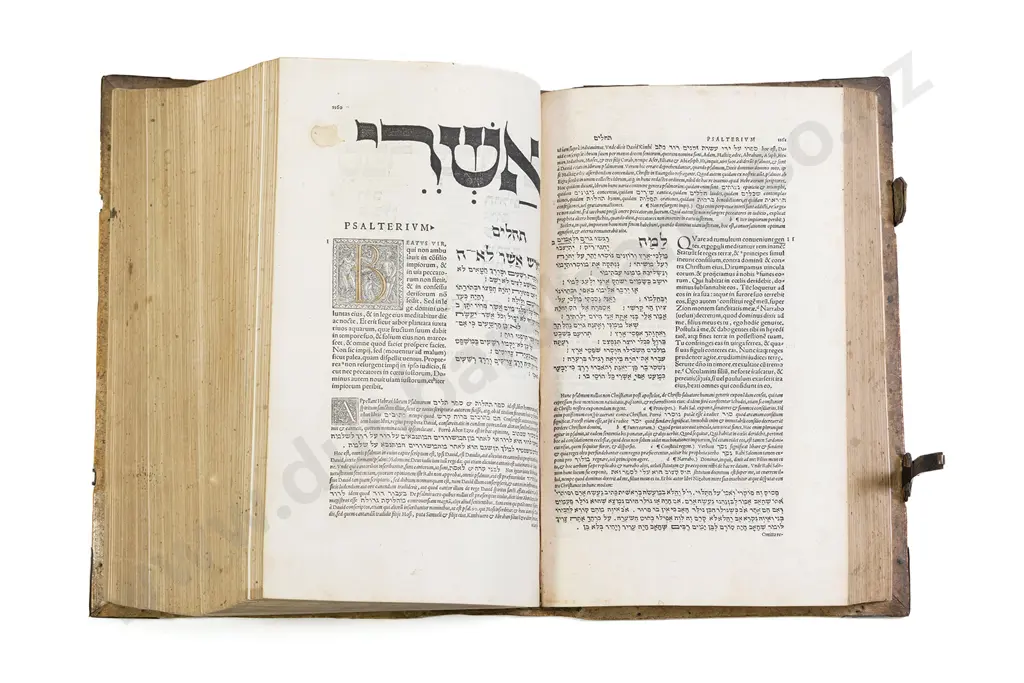 Bible - Hebrew & Latin 1546 Image 1++
