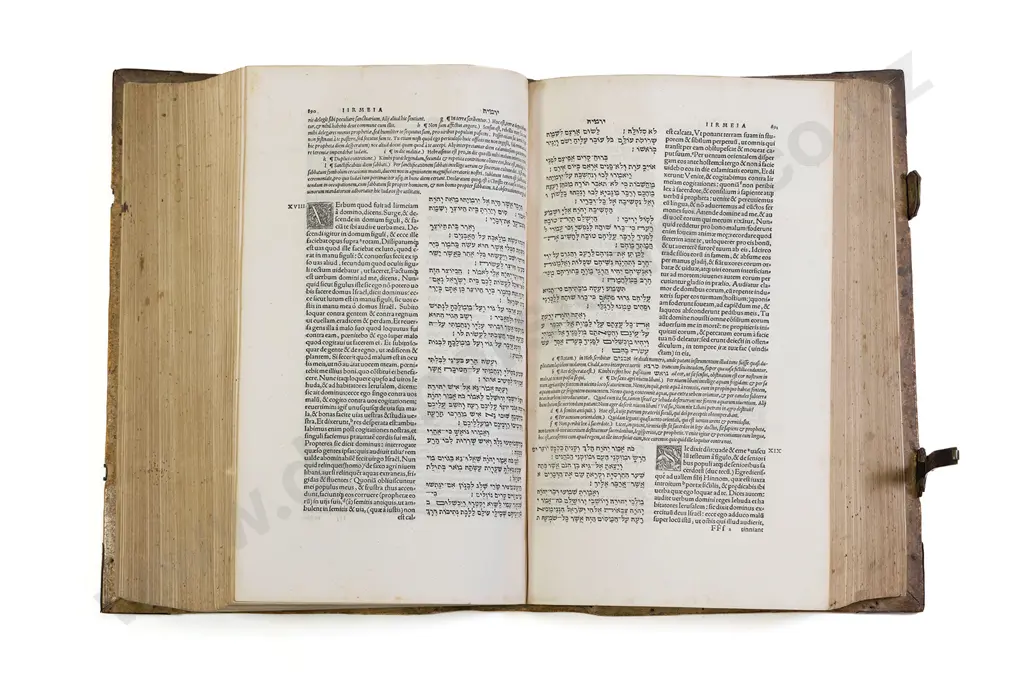 Bible - Hebrew & Latin 1546 Image 1++
