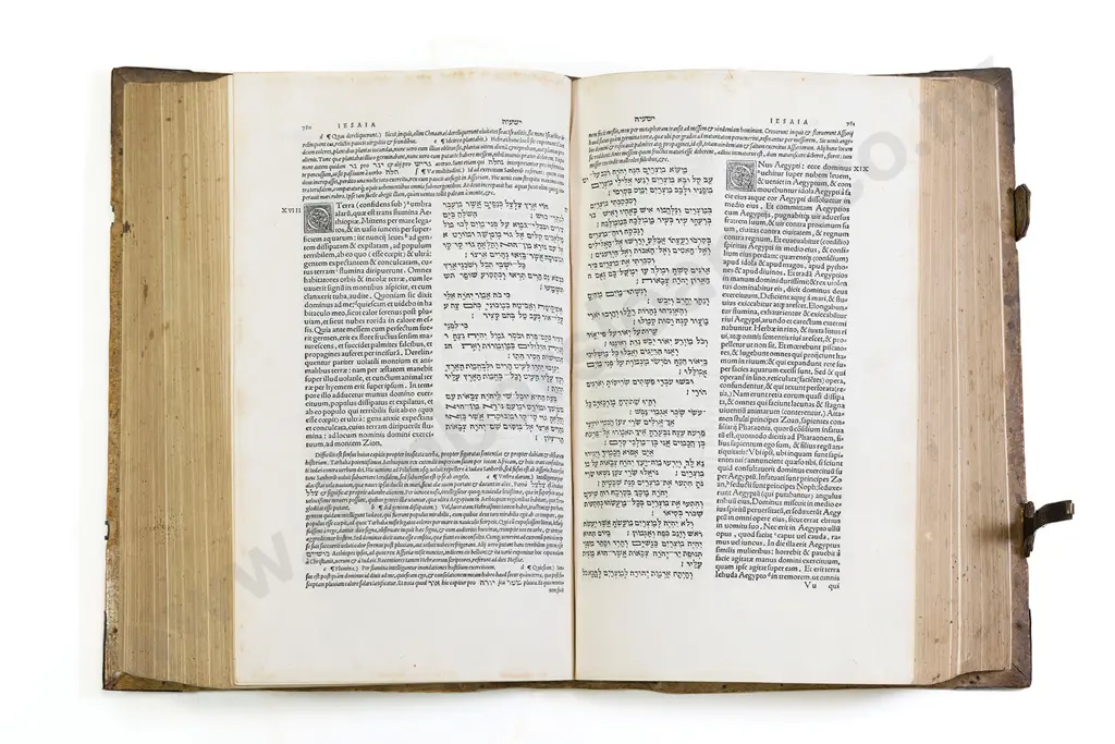 Bible - Hebrew & Latin 1546 Image 1++