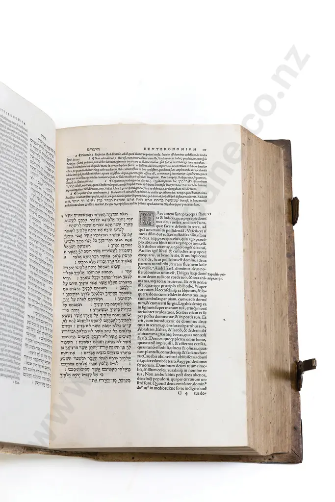 Bible - Hebrew & Latin 1546 Image 1++