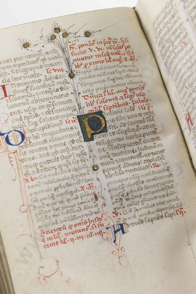 Breviary in Latin - Illuminated Manuscript On Vellum In Latin (North East Italy Second Half 15th Century) Image 1++
