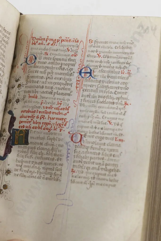 Breviary in Latin - Illuminated Manuscript On Vellum In Latin (North East Italy Second Half 15th Century) Image 1++