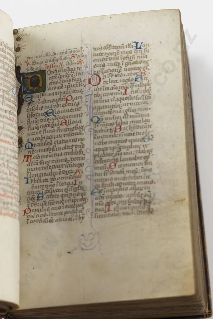 Breviary in Latin - Illuminated Manuscript On Vellum In Latin (North East Italy Second Half 15th Century) Image 1++