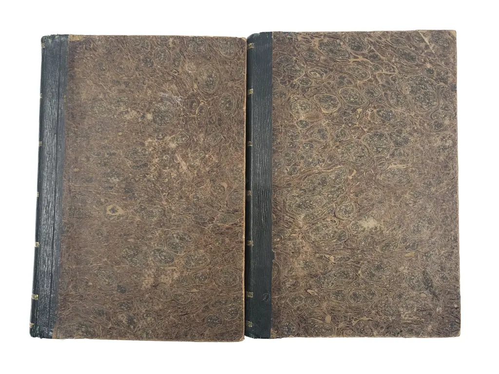 D'urville Dumont - Voyage Pittoresque Autour Du Monde (2 Volumes) Image 1++